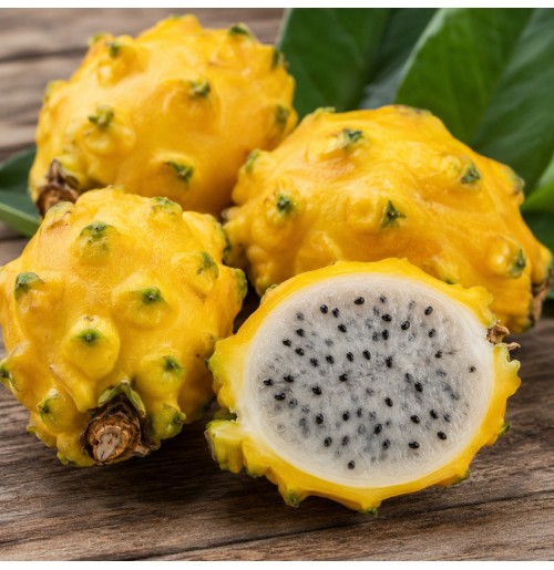 Yellow Dragon Fruit 